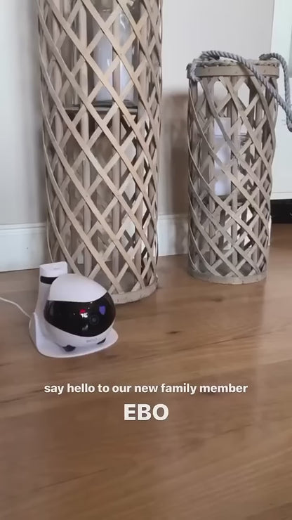 EBO SE FamilyBot